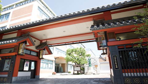 高校 大阪 府立 天王寺 【文理学科】明暗わかれる大阪府立高校トップ10校❗️進学実績が半減した高校も❓《北野高校、天王寺高校、三国丘高校、大手前高校、茨木高校、高津高校、生野高校、豊中高校、四条畷高校、岸和田高校》