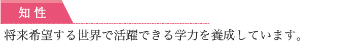 将来希望する世界で活躍できる学力を養成しています。